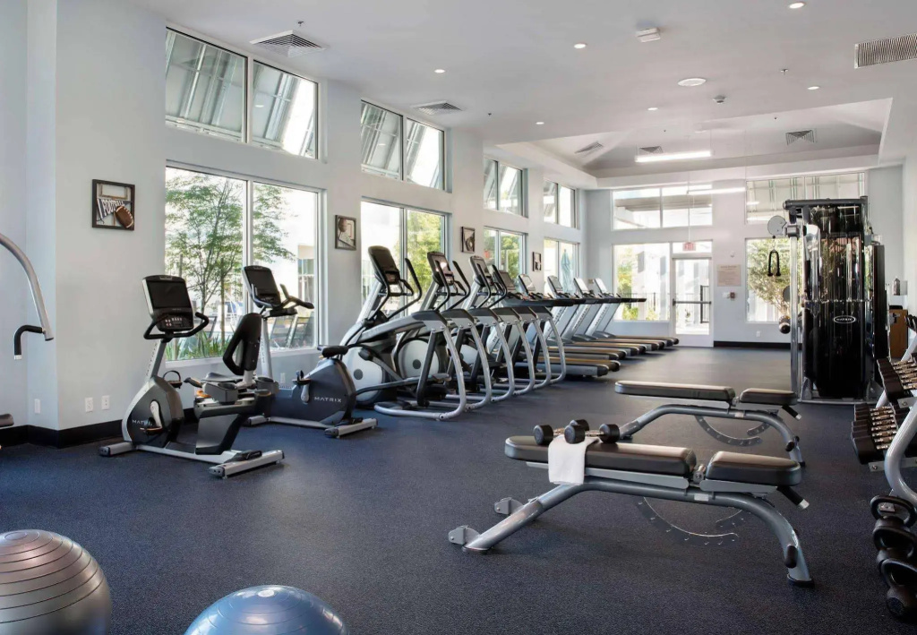 SpringHill Suites Orlando at FLAMINGO CROSSINGS® Town Center/Western Entrance - Général