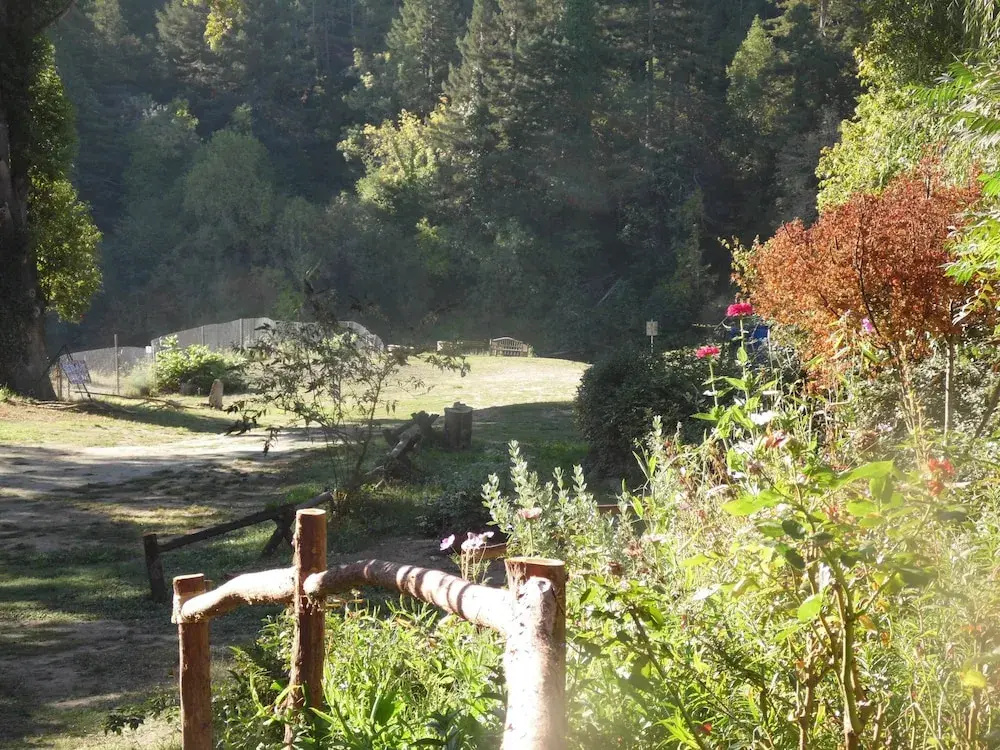 Riverlane Resort - Général
