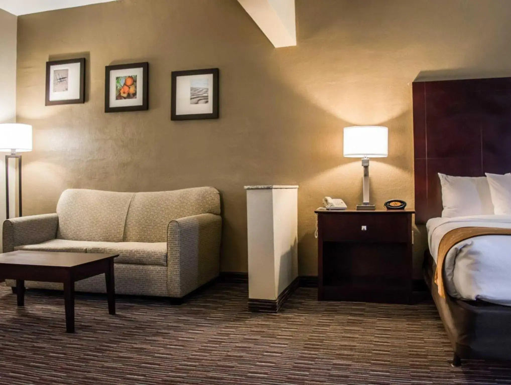 Comfort Suites Clearwater - Dunedin Room Type - 1 Bedroom Double Suite (full double bed)