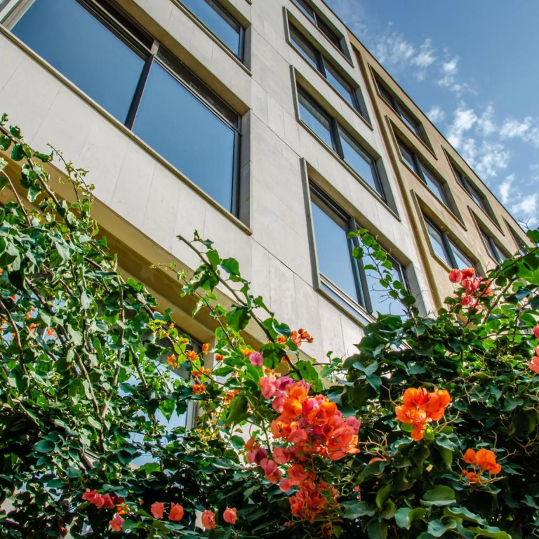 apartmentpicture