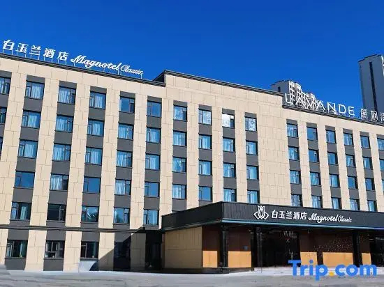 MAGNOTEL (Daqing East Railway Station And Passenger Terminal Branch)