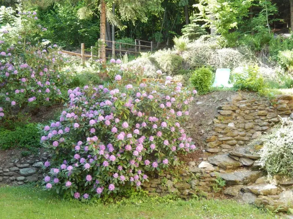 Haus am Wald - Général