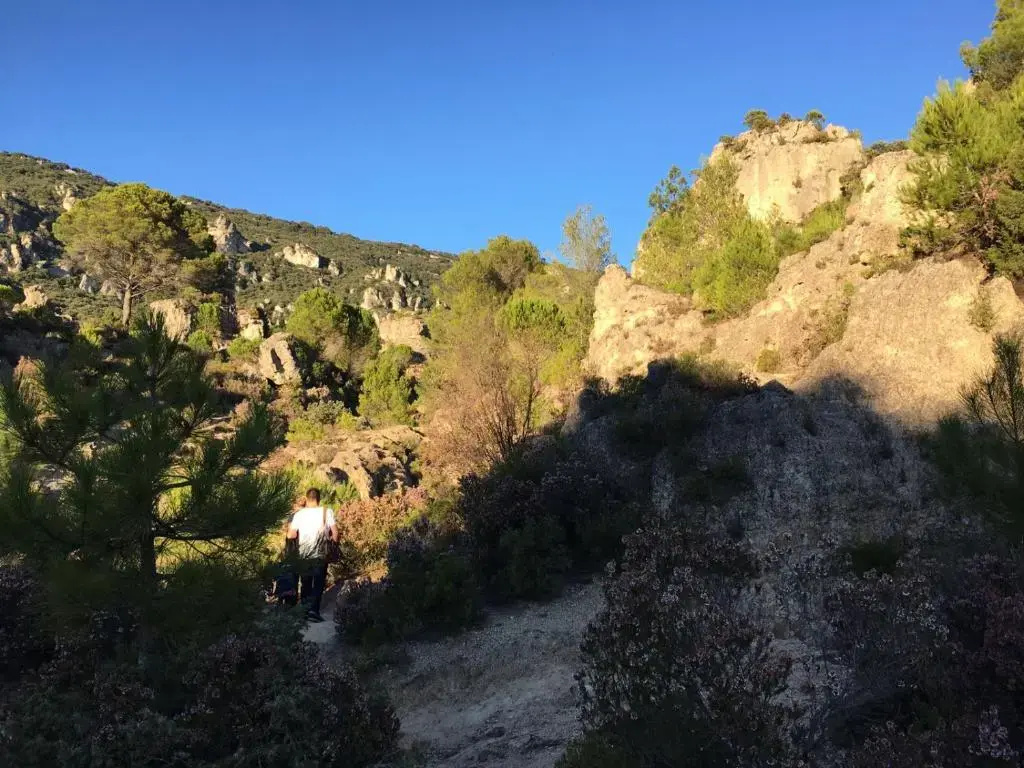 Voir la photo 1 — White Sand