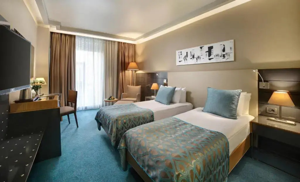 Standard Double room twin beds