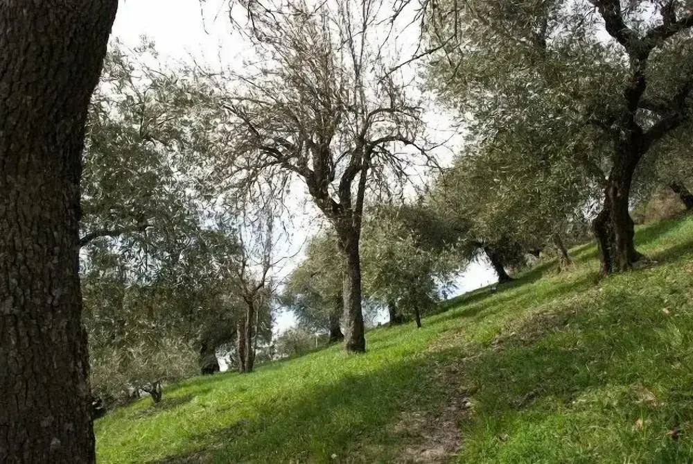 Agriturismo Le Francesche