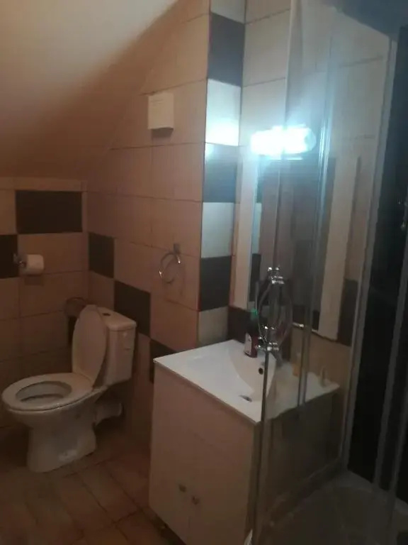 Pensiunea Dalena - Chambres