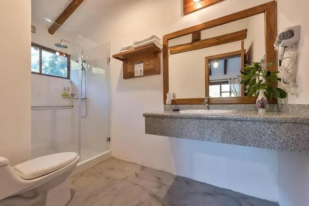 Standard Double room with mountain view (twin beds)