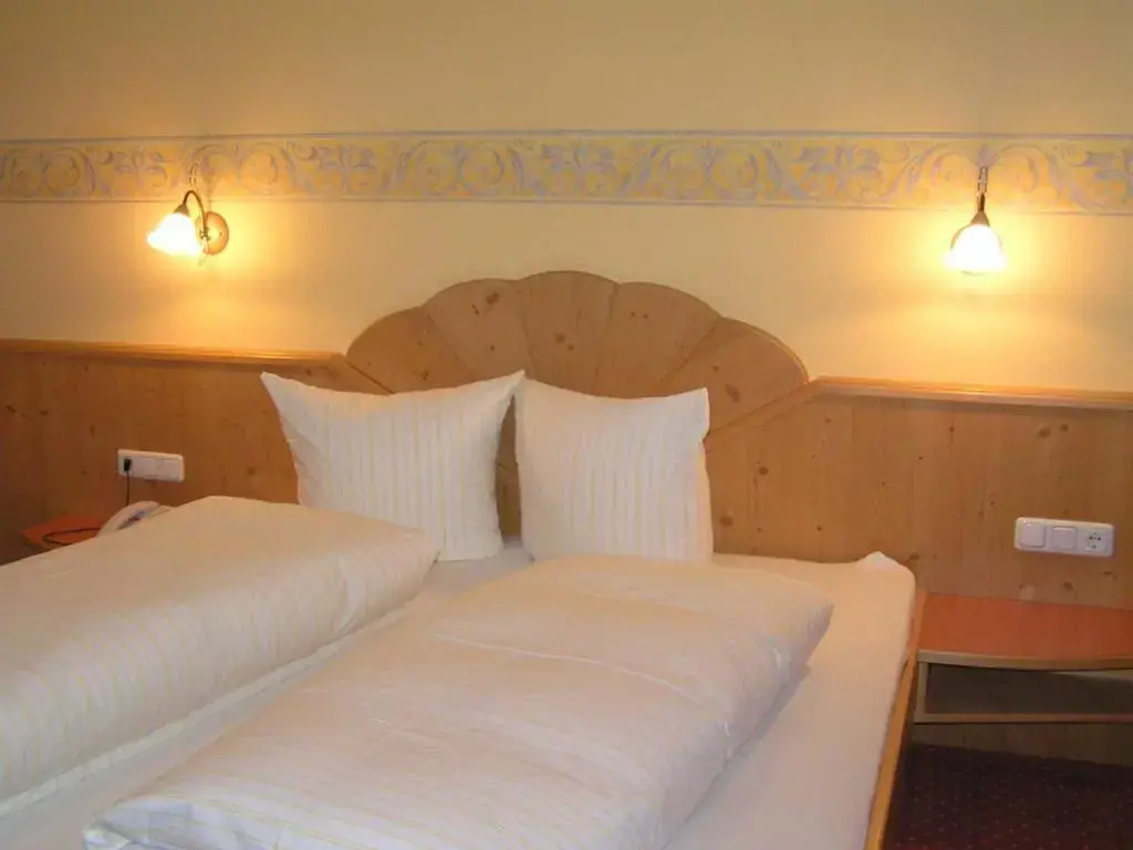 Standard Double room (full double bed)