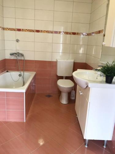 Отель Apartment Antiša, фото 1