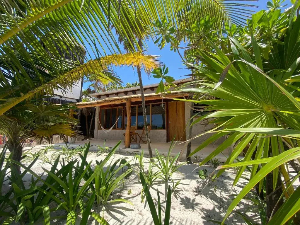 Standard room oceanfront