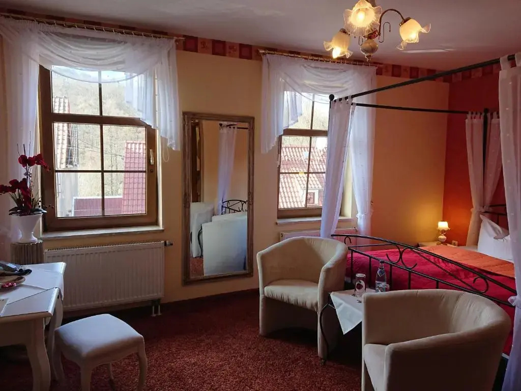 Standard Double room (full double bed)