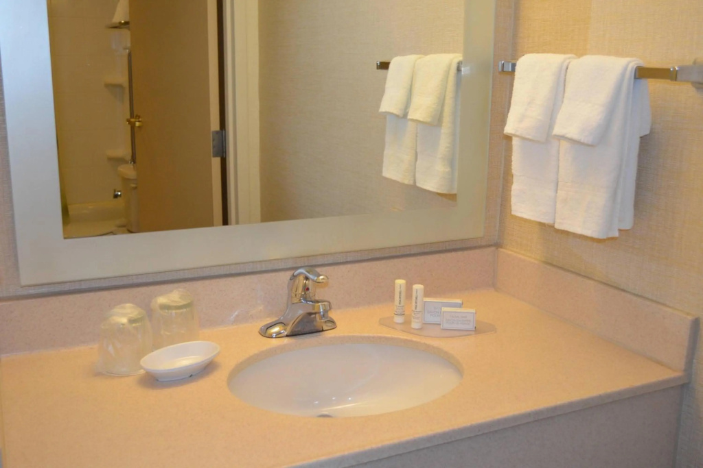 SpringHill Suites by Marriott Lansing - Général