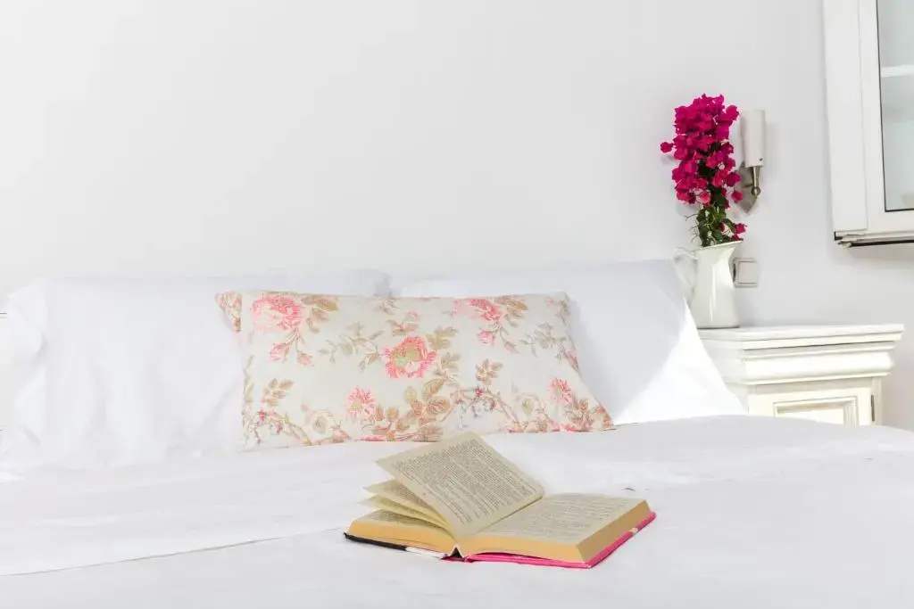 Rhenia Mykonos - Chambres