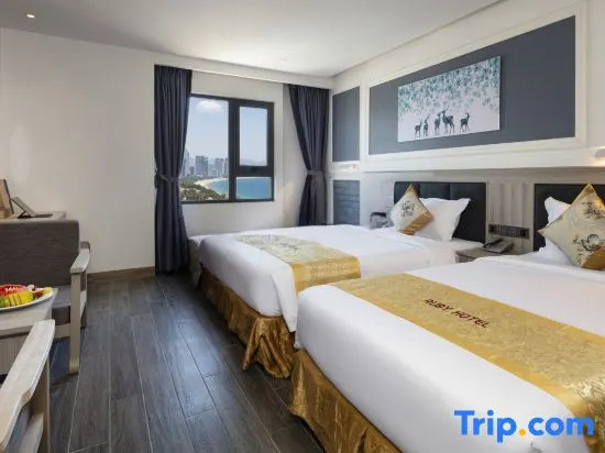 Deluxe Double room with city view (full double bed)