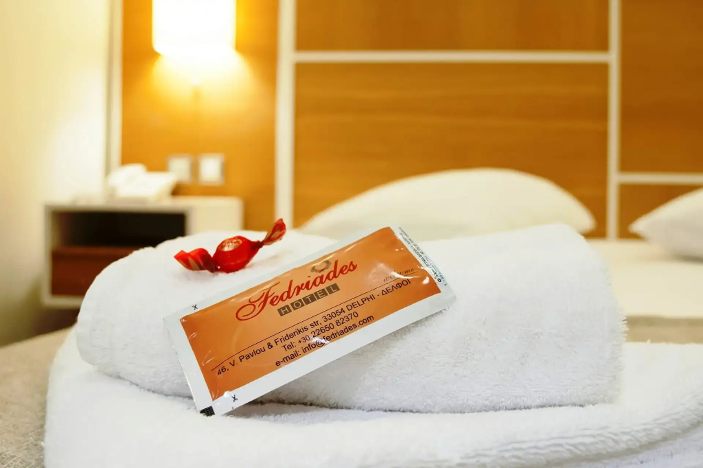 Fedriades Delphi Hotel - Chambres
