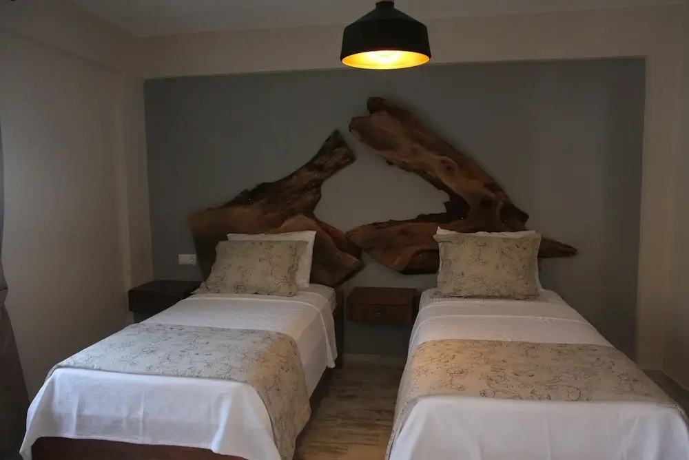 Standard Double room (twin beds)