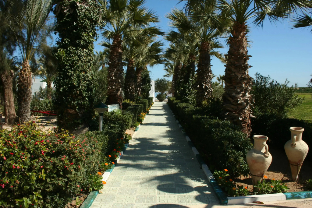 Hotel photo 24