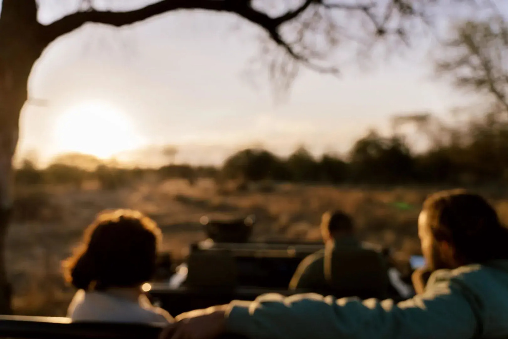 Amani Safari Camp