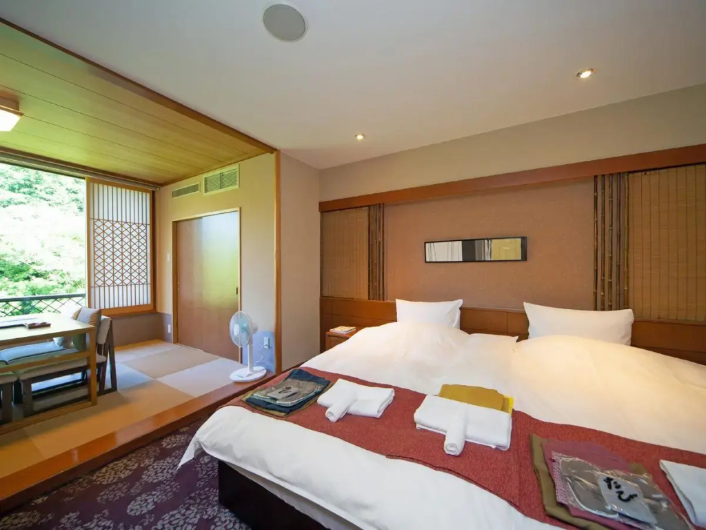 Superior Double room (twin beds)