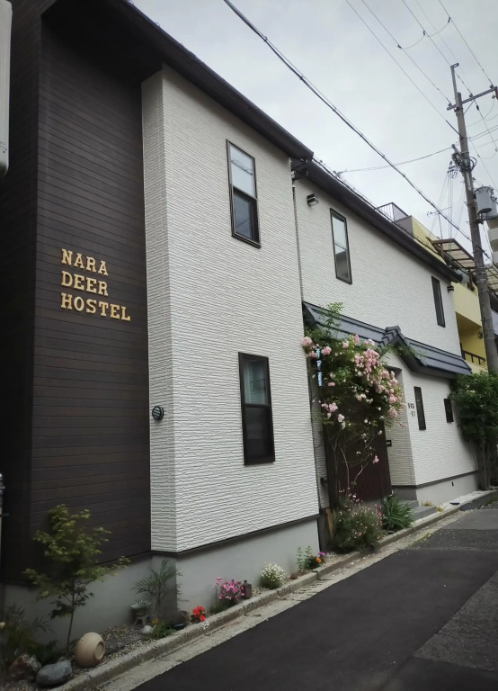 Deer hostel - English only