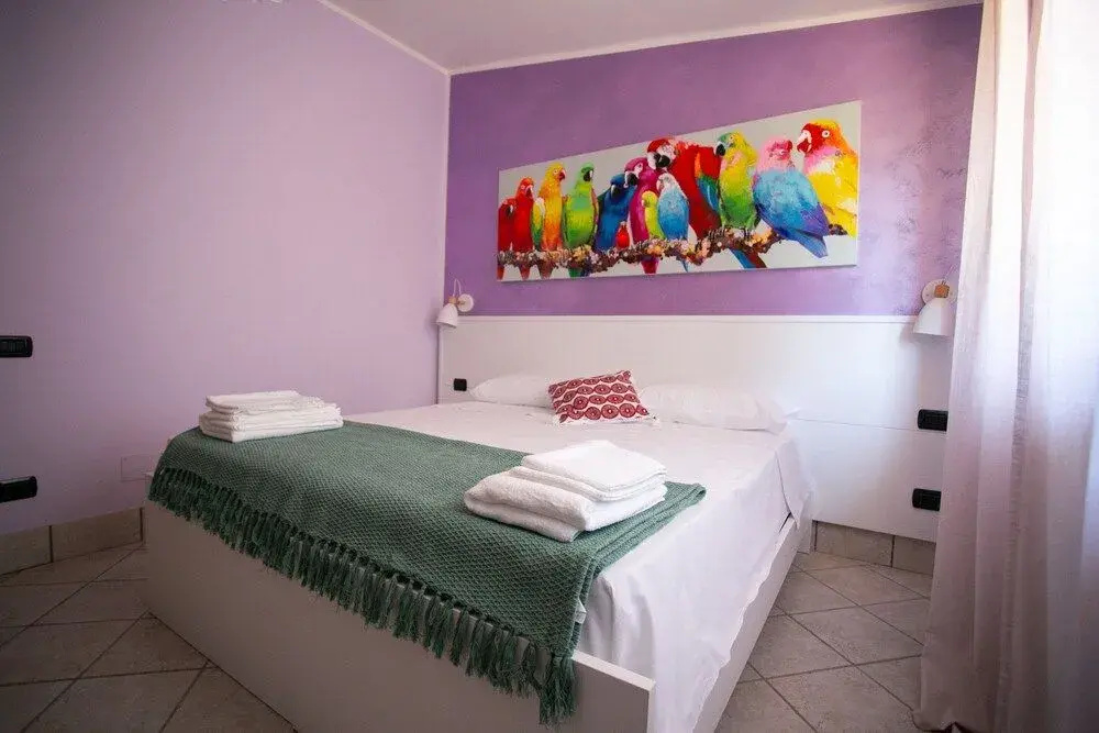 B&B Trepo