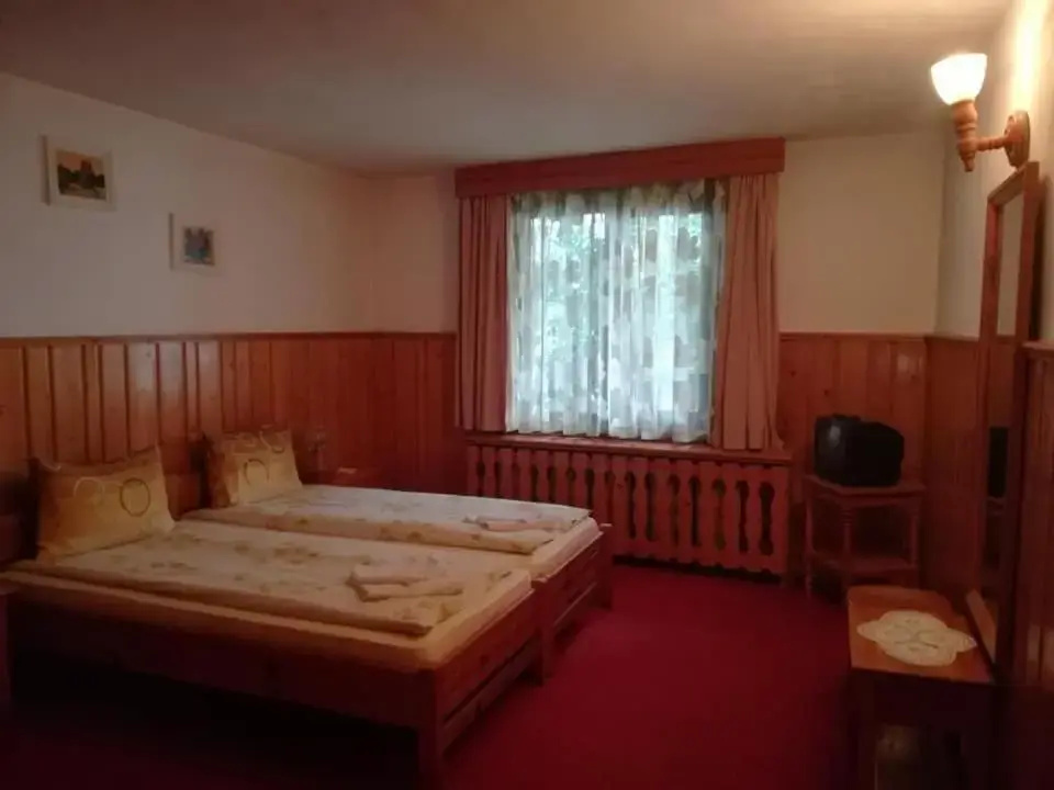 Standard Double room (full double bed)