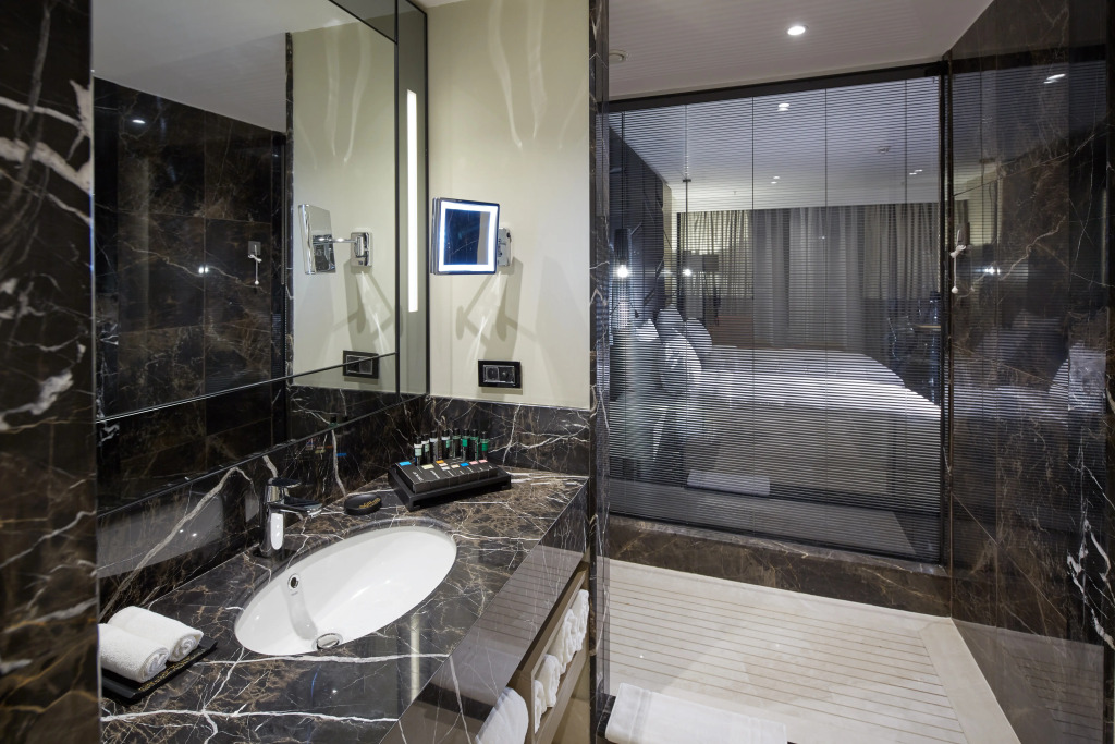 Pullman Istanbul Airport and Convention Center Hotel - фото 31