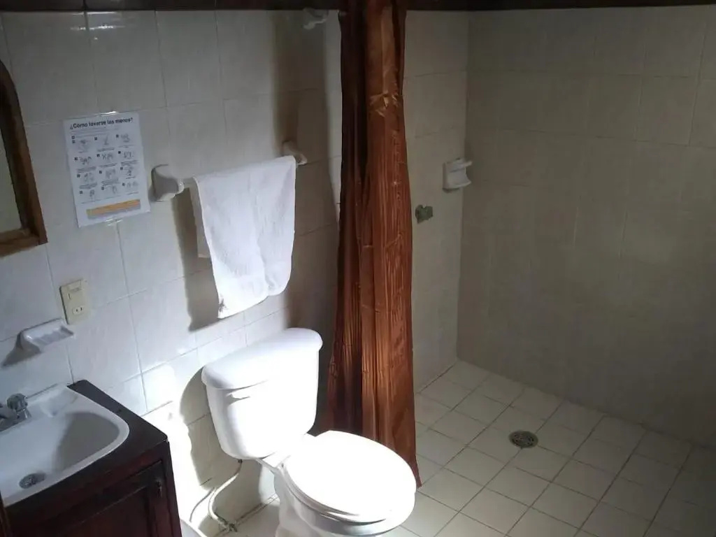 Basement Apartment