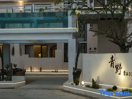 Qingye AONO Surf Design Meisu (Wanning Riyuewan Branch)