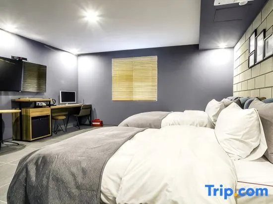 Deluxe Double room (twin beds)