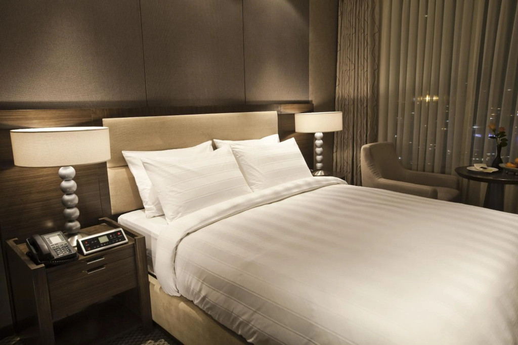 Lotte City Hotel Mapo - Général