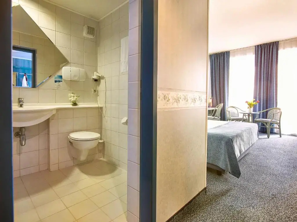 Hotel Continental Forum Arad - Général