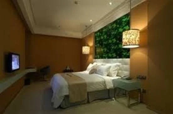 Triumphal Arch Business Hotel - Shenzhen