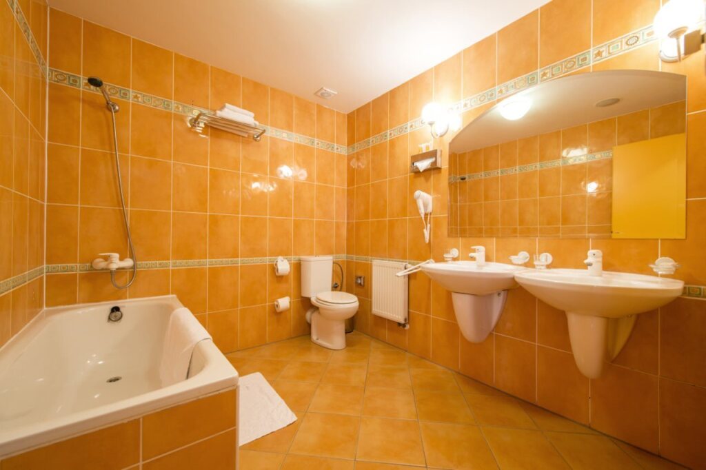 Hotel Dvořák by null