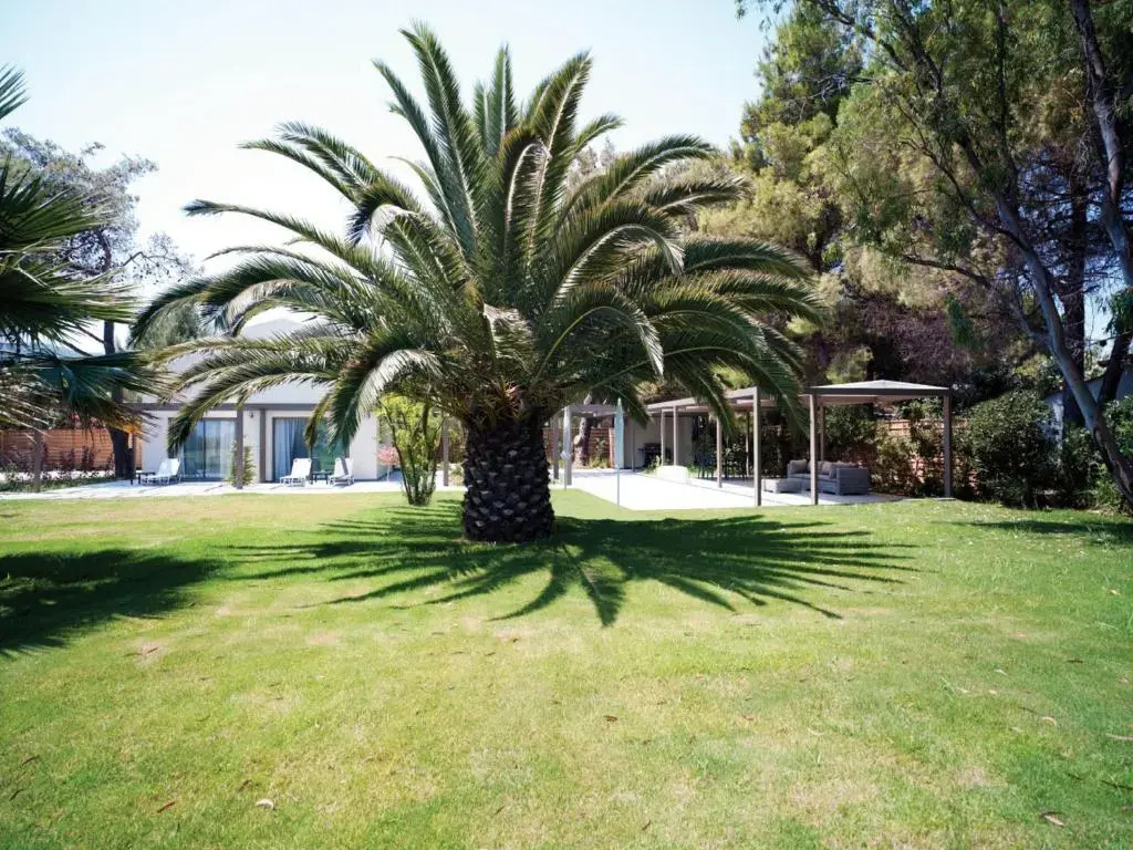 Tiamo Secrets - Palm Garden - Chambres