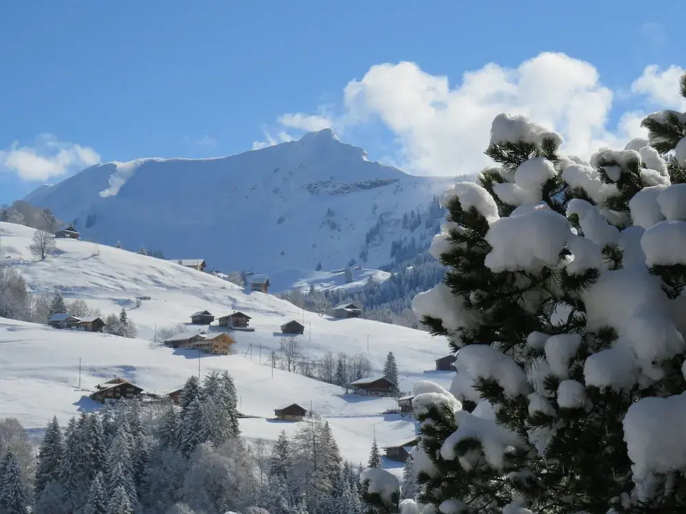 Gasthof Bären - Général