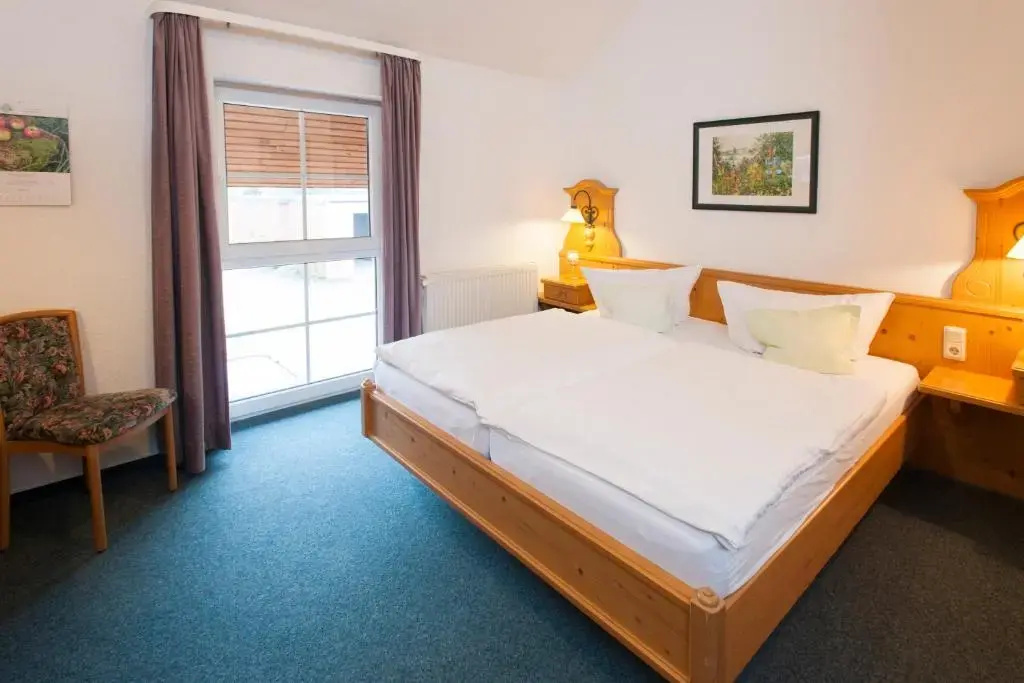 Standard Double room (full double bed)