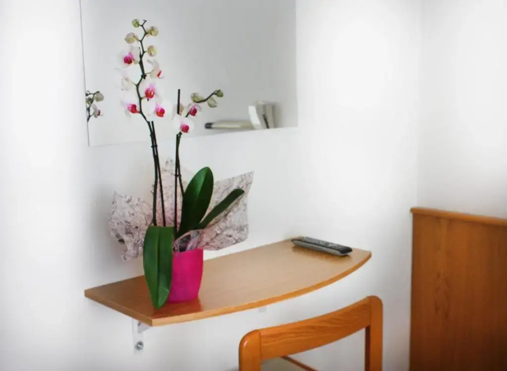 Hotel Daniela - Chambres