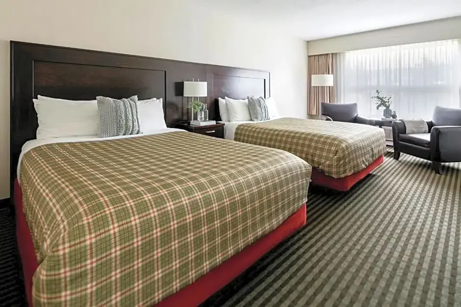 Quadruple Suite