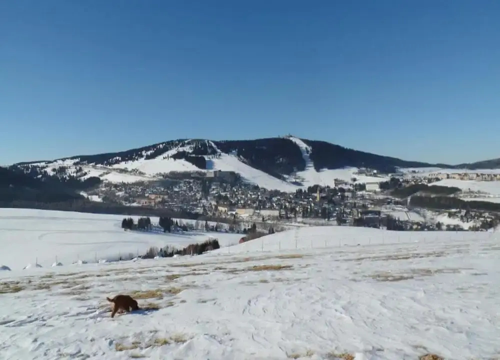 Nice Holiday Home With Fireplace in the Ore Mountains Near the Chairlift