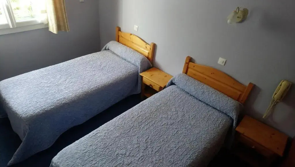Standard Double room with mountain view (twin beds)