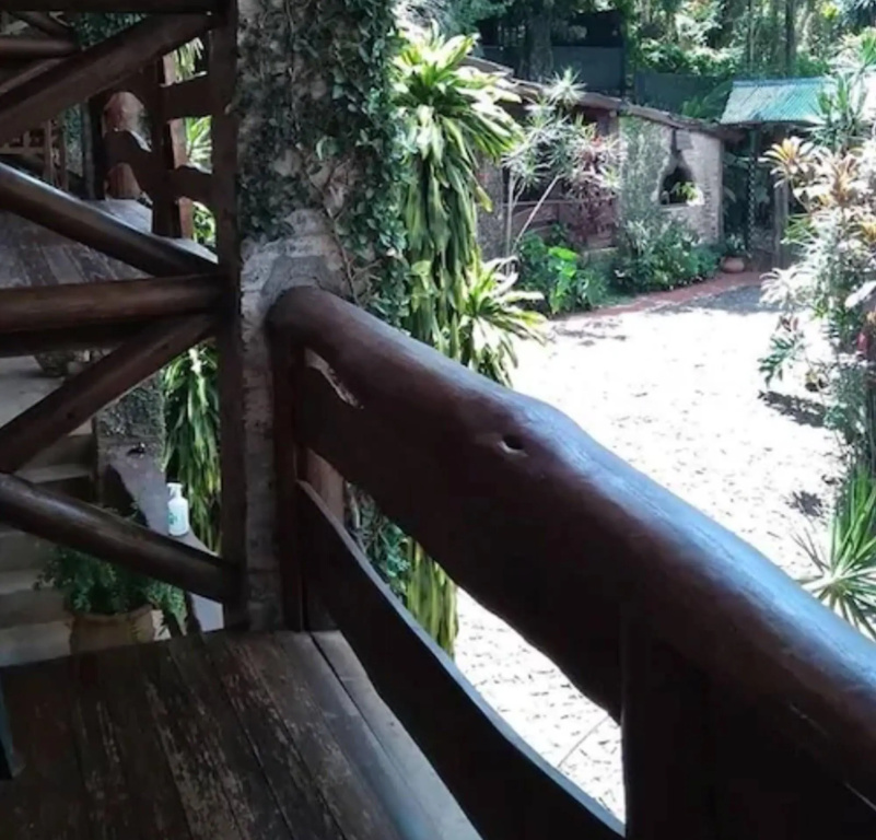 Balcony & Terrace