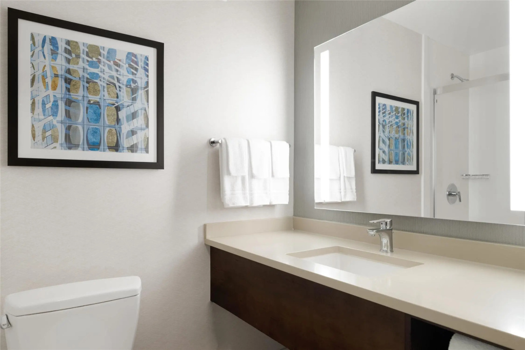 Hilton Garden Inn Chicago Downtown/Magnificent Mile - Chambres