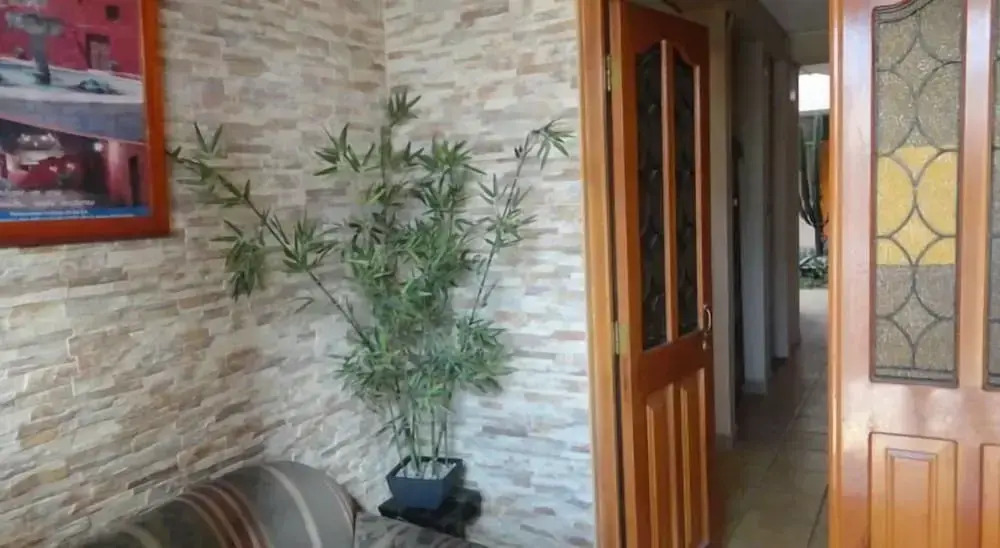 Hotel Mirasol — фото 2