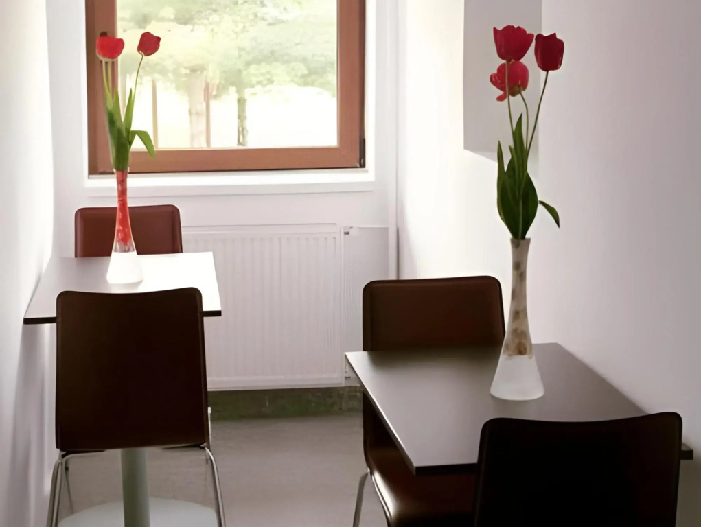 Hotel Timisoara Sannicolau Mare - Général