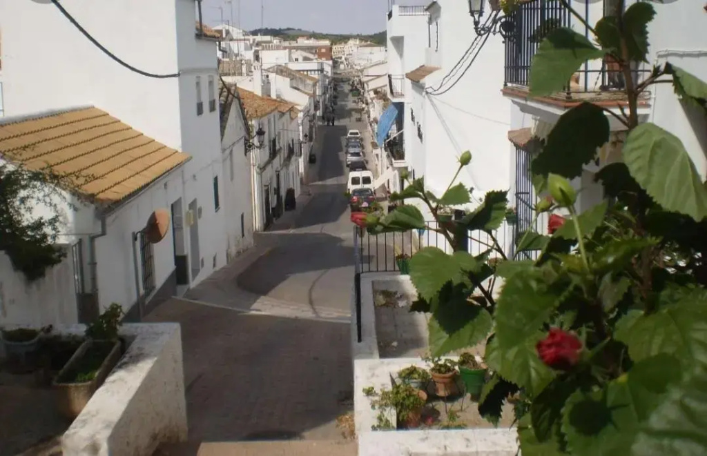 Casa Babuche