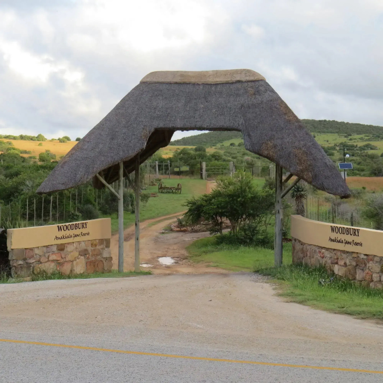 Woodbury Lodge - Amakhala Game Reserve - фото 40