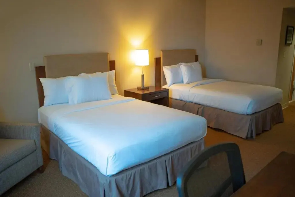 Delta Hotels by Marriott Toledo - Chambres