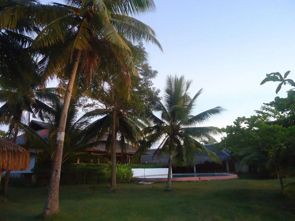 DACOZY Beach Resort - Général