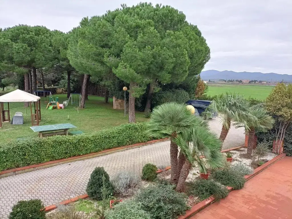 Hotel Riva Etrusca - 2
